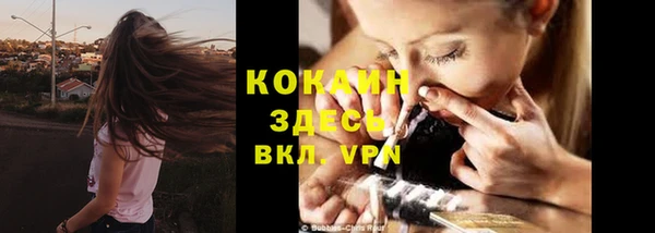 прущие крисы Алзамай