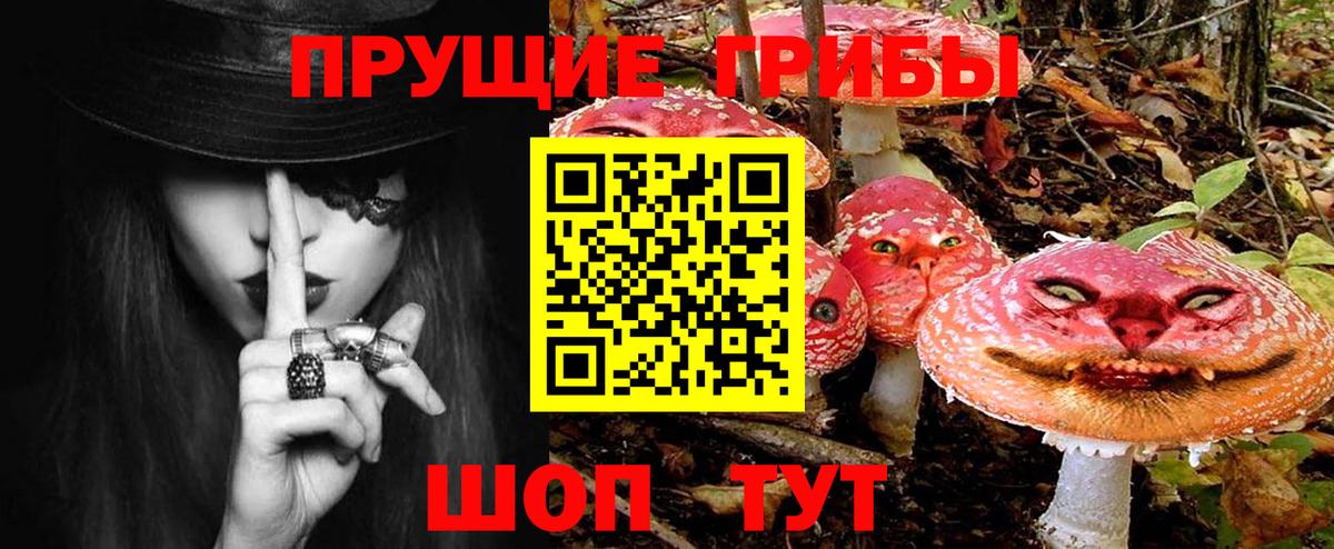 Псилоцибиновые грибы прущие грибы Михайловск